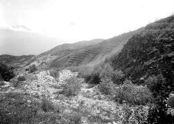 Torrent du Villard. Cordons dans les berges de la rive droite