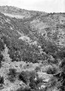 Torrent du Riou-Babou, boisements sur berges et barrage en pierres sèches