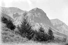Plantation de mélèzes - Pics de Moutet (droite), Peyralla (centre), ravin de Coste-Folle du torrent des Farelles (gauche)